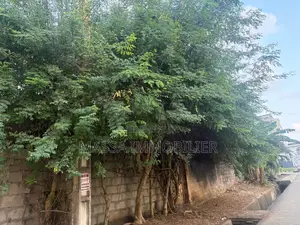 Vente Terrain Mixte 600 M2 À Cocody Riviera 3