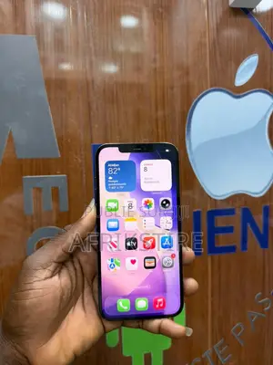 Apple iPhone 12 Pro Max 256 GB Bronze
