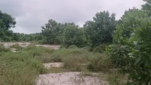 Autoroute Bassam-Assinie Vente De 100 Lots De 500 M2, Avec Acd