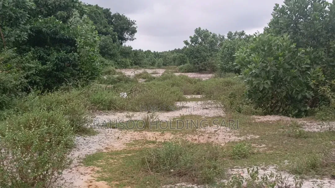 Autoroute Bassam-Assinie Vente De 100 Lots De 500 M2, Avec Acd