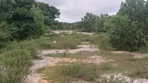 Autoroute Bassam-Assinie Vente De 100 Lots De 500 M2, Avec Acd