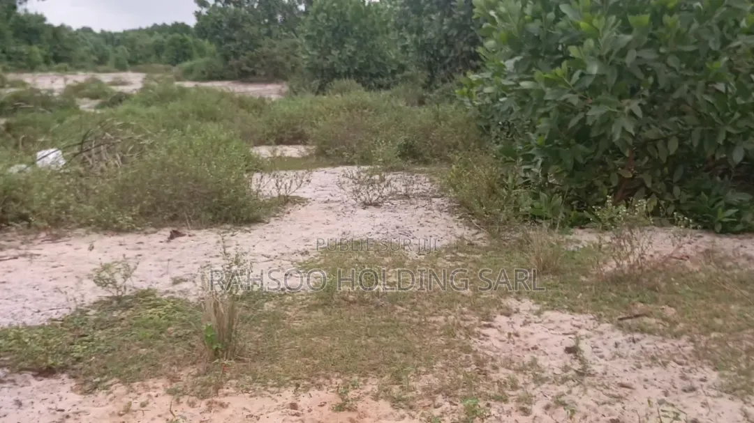 Autoroute Bassam-Assinie Vente De 100 Lots De 500 M2, Avec Acd