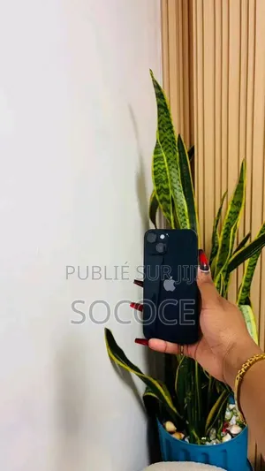 Nouveau Apple iPhone 11 Pro Max 256 GB Gris