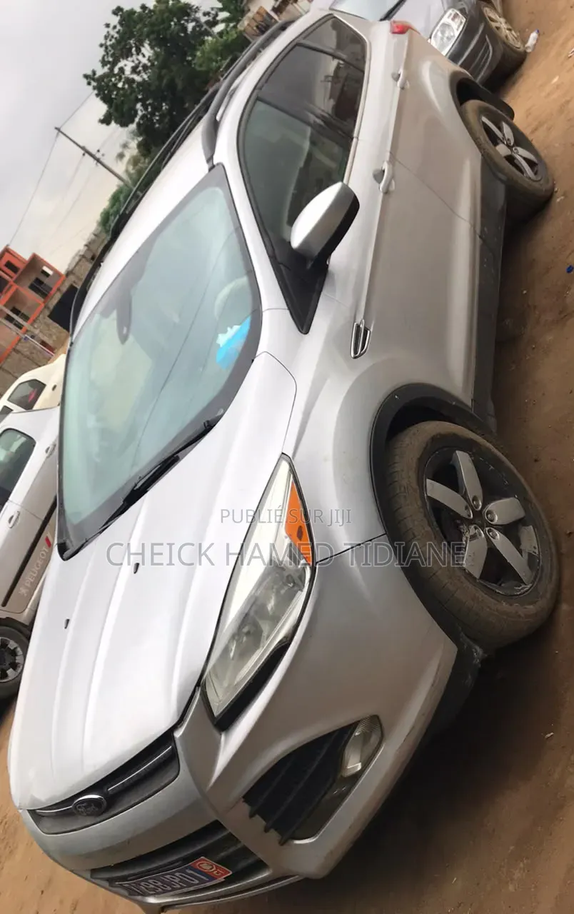 Ford Escape 2014 Gris