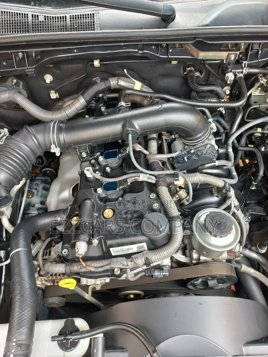 Toyota Hilux Surf 2009 Noir