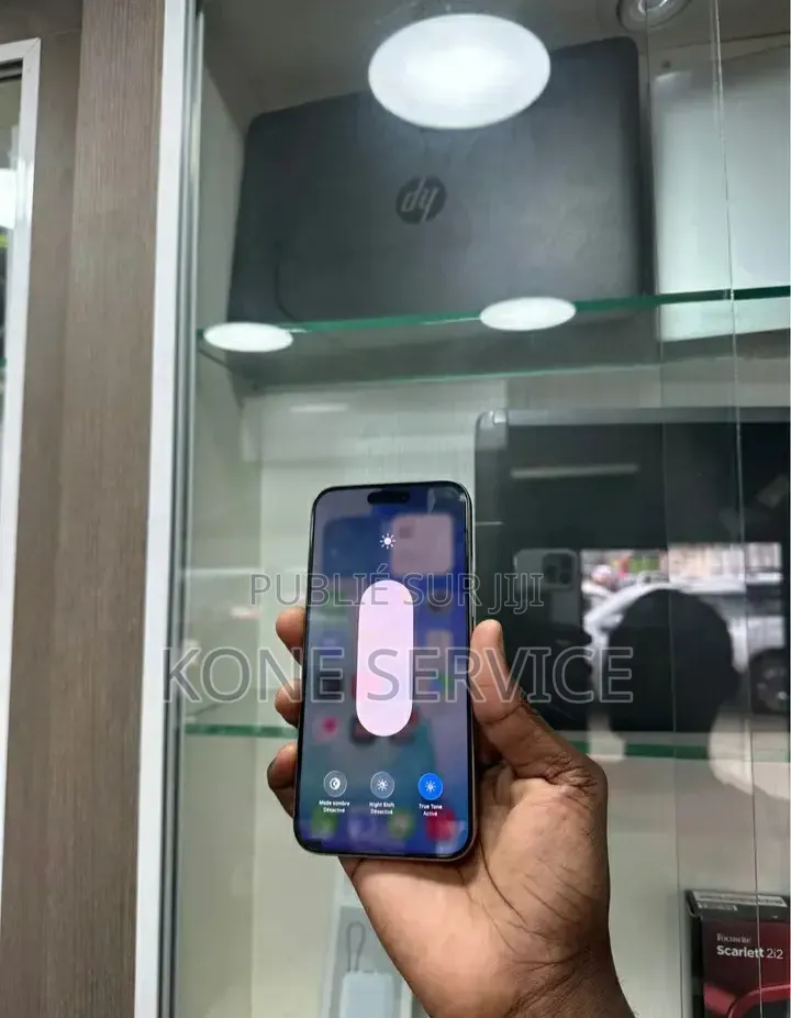 Apple iPhone 15 Pro Max 256 GB Gris