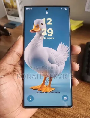 Nouveau Samsung Galaxy S22+ 5G 256 GB Autre